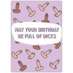 Funny Rude Birthday Card May Your Birthday Be Full of Assorted Willies Design
