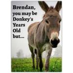 Personalised Donkey's Years Old Humorous Irish Birthday Card for Male Names