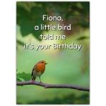 Personalised Robin Bird Birthday Card with Custom Name and Nature Background