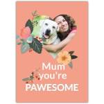 Mum You're Pawesome Personalised Photo Card with Floral Heart Design