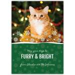 Christmas Furry & Bright Kitty Greeting Card