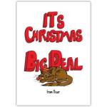 Merry Christmas Lazy Funny Cat Greeting Card