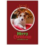Merry Xmas Antler Photo Upload Greeting Card