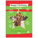 Happy Christmas From The Pet Photo Upload Greeting Card