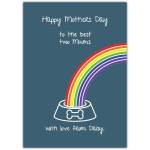 Happy Mothers Day Card to the Best Two Mums Personalised Rainbow Dog Bowl Design