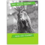 Humorous Less Spring Chicken More Old Clucker Birthday Greeting Card