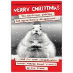 Funny Christmas Card with Hamster and Missing Christmas Pudding Humour