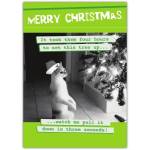 Funny Christmas Card Featuring Cat and Tree with Humorous Message