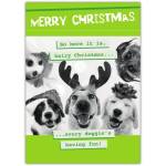 Funny Merry Christmas Dog Greeting Card with Reindeer Antlers and Gift Bow Design