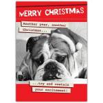 Merry Christmas Funny Bulldog Wearing Santa Hat Humorous Xmas Card