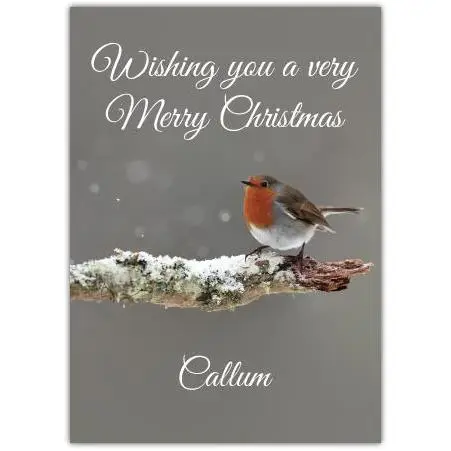 Personalised Merry Christmas Robin On Snowy Branch Christmas Card