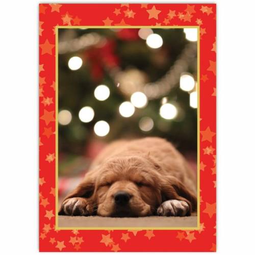 Sleeping Puppy Red Star Frame Christmas Greeting Card