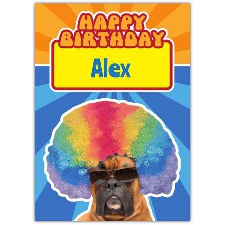 Personalised Birthday Card with Boxer Dog Wearing Rainbow Afro Wig and Sunglasses