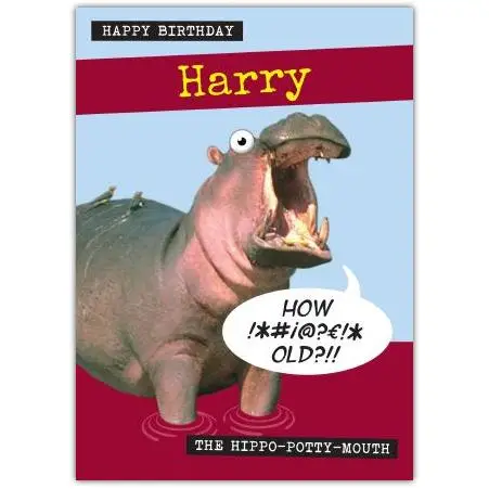 Personalised Humorous Hippo Potty Mouth Birthday Card with Custom Name Option