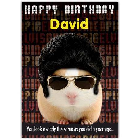 Personalised Funny Sozzled Guinea Pig Birthday Card with Elvis Style Sunglasses and Wig