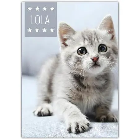 Personalised Cute Kitten Pet Photo Greeting Card with Name Option