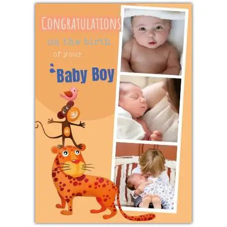 Congratulations Baby Boy Newborn Photo Collage Tiger and Monkey Card