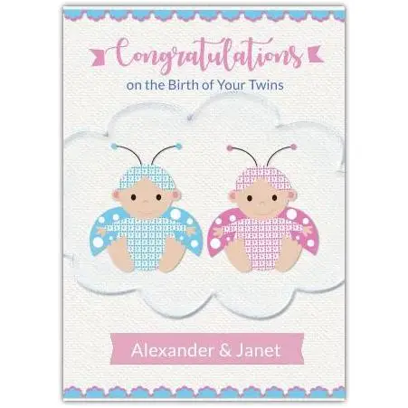 Personalised Congratulations on the Birth of Twins Baby Blue and Pink Bees Card