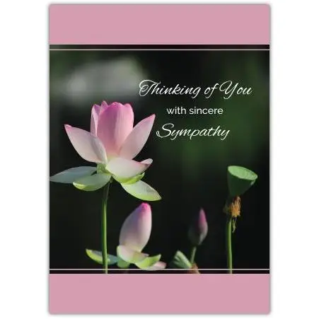 Thinking of You Sympathy Card with Pink Blossoming Flowers Design