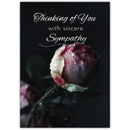 Thinking of You Sympathy Card with Pink Rose on Dark Background