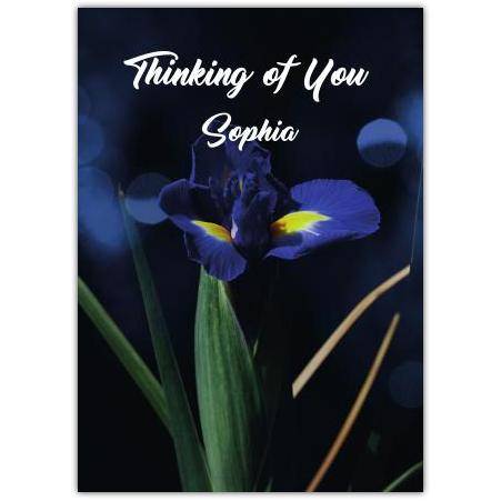 Thinking of You Sympathy Card with Purple Iris Flower Customisable Text