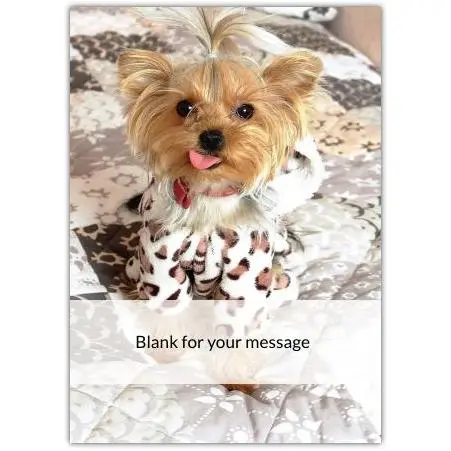 Personalised Cute Yorkshire Terrier Doggy Blank Greeting Card for Any Occasion