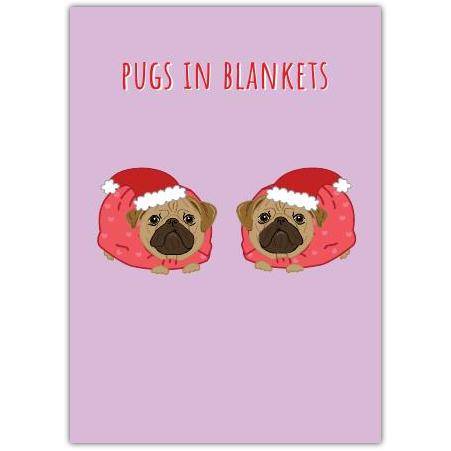Funny Christmas Card Featuring Pugs in Santa Blankets Humorous Holiday Greeting