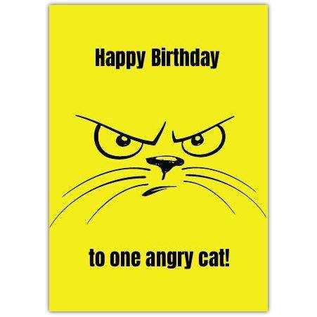 Happy Birthday Angry Cat Humorous Birthday Card for Cat Lovers