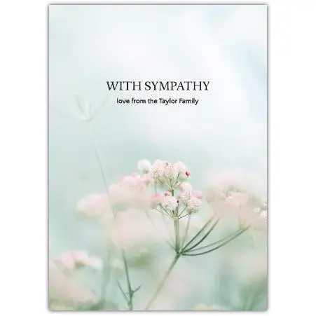 Sympathy Babies Breath Greeting Card