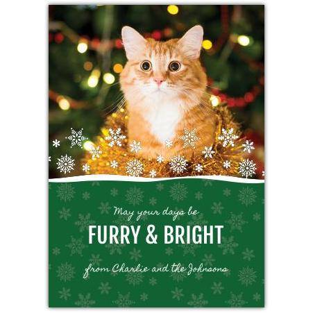 Christmas Furry & Bright Kitty Greeting Card
