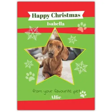 Happy Christmas From The Pet Photo Upload Greeting Card