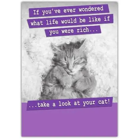 Funny Cat Humour Greeting Card If You Wondered What Life Would Be Like If You Were Rich
