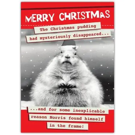 Funny Christmas Card with Hamster and Missing Christmas Pudding Humour