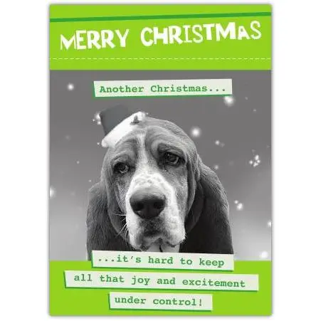 Funny Christmas Card with Sad Dog Wearing Santa Hat and Humorous Greeting