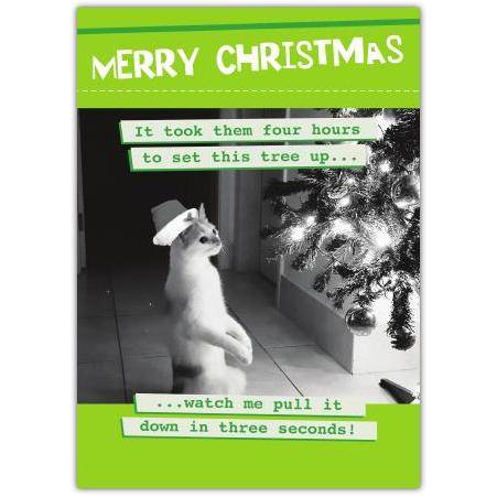 Funny Christmas Card Featuring Cat and Tree with Humorous Message