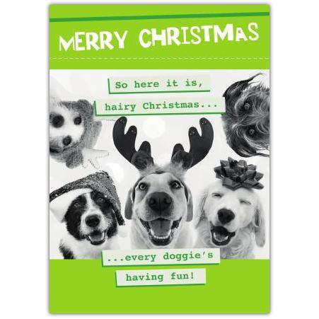 Funny Merry Christmas Dog Greeting Card with Reindeer Antlers and Gift Bow Design