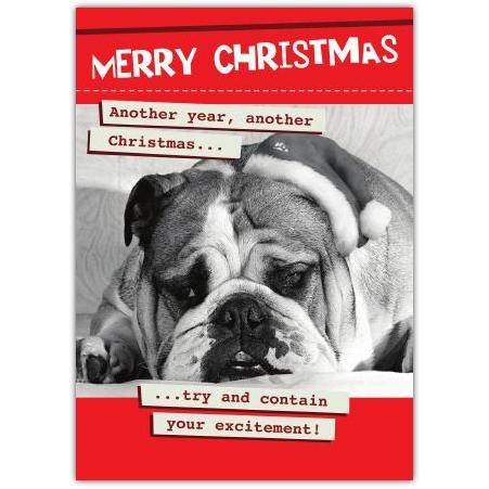 Merry Christmas Funny Bulldog Wearing Santa Hat Humorous Xmas Card