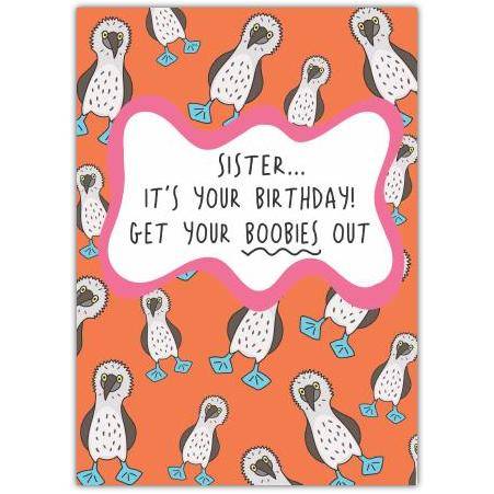 Funny Sister Birthday Card with Dodo Birds and Humorous Boobies Quote