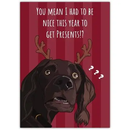 Funny Christmas Card Featuring Chocolate Labrador Dog with Reindeer Antlers and Humorous Text