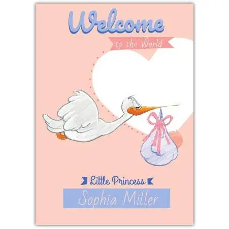 Personalised New Baby Girl Card with Stork and Pink Ribbon Welcome Little Princess Design