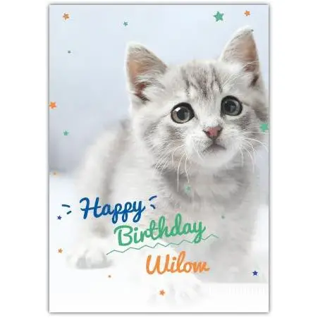 Personalised Birthday Card with Cute Kitten and Star Design for Willow
