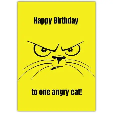 Happy Birthday Angry Cat Humorous Birthday Card for Cat Lovers