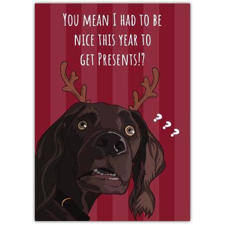Funny Christmas Card Featuring Chocolate Labrador Dog with Reindeer Antlers and Humorous Text
