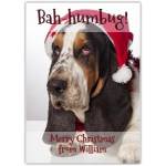 Bah Humbug Basset Hound Dog Christmas Card Personalised Festive Greeting