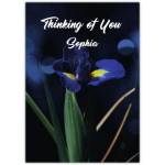 Thinking of You Sympathy Card with Purple Iris Flower Customisable Text