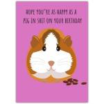 Happy Birthday Rude Guinea Pig Humour Card with Funny Birthday Message