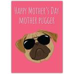 Happy Mothers Day Funny Pug Dog Greeting Card for Mum from the Dog