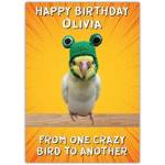 Personalised Happy Birthday Card From One Crazy Bird To Another with Funny Bird Wearing Hat