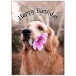 Golden Retriever Dog Holding Pink Flower Happy Birthday Card