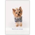 Any Message Cute Woof Greeting Card